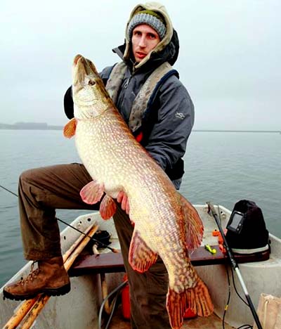 33lb4oz Pike Rutland water 2013.jpg